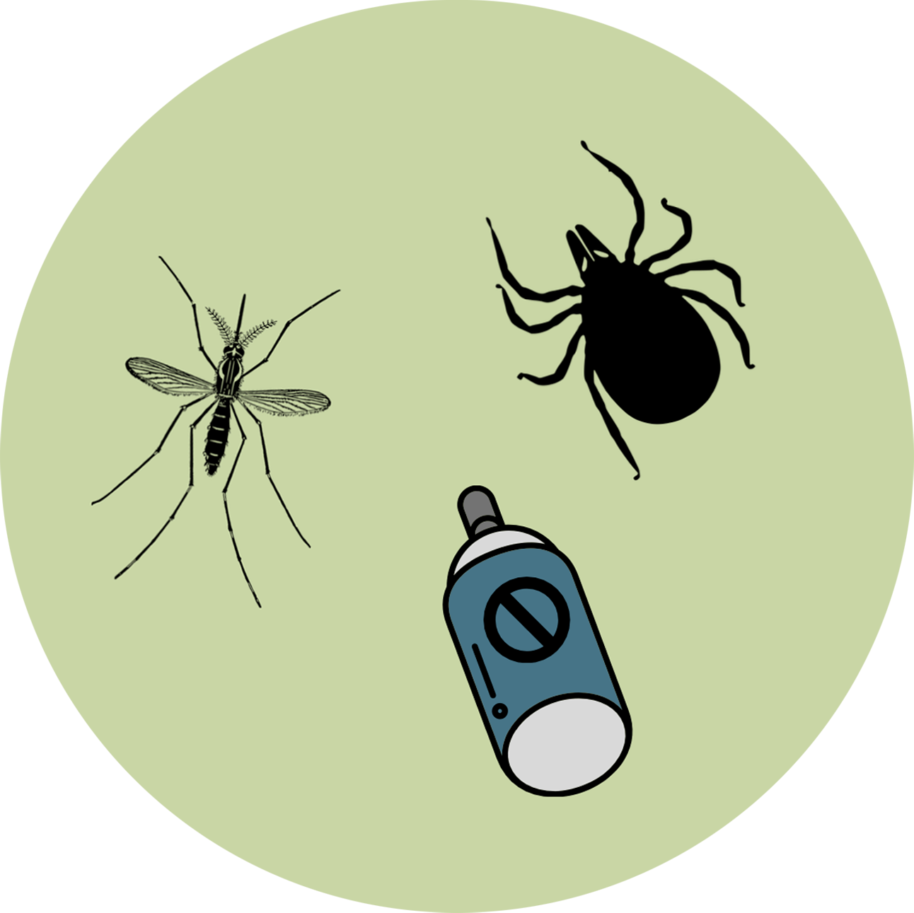 tick illness prevention