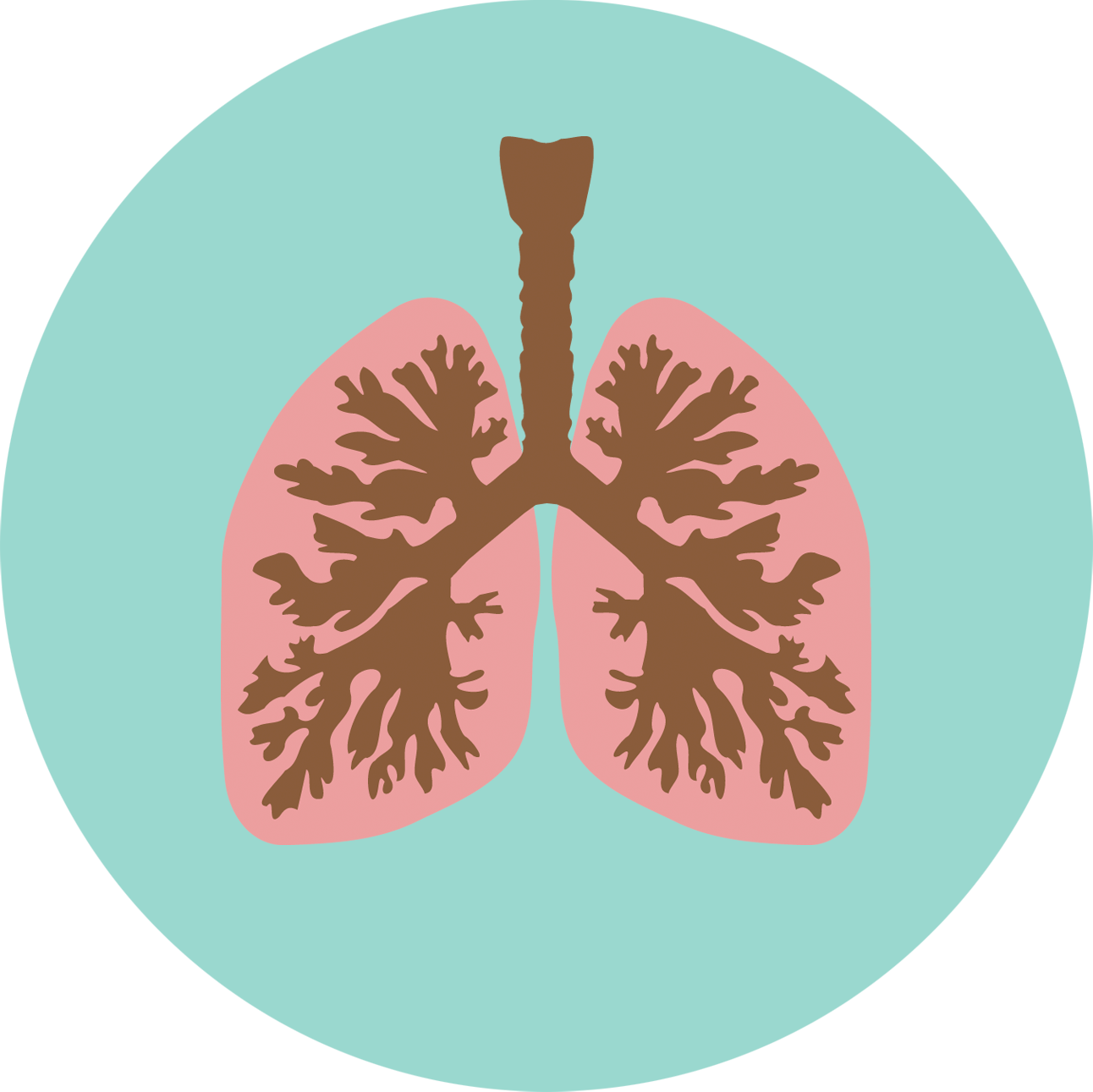 Illustration of lungs